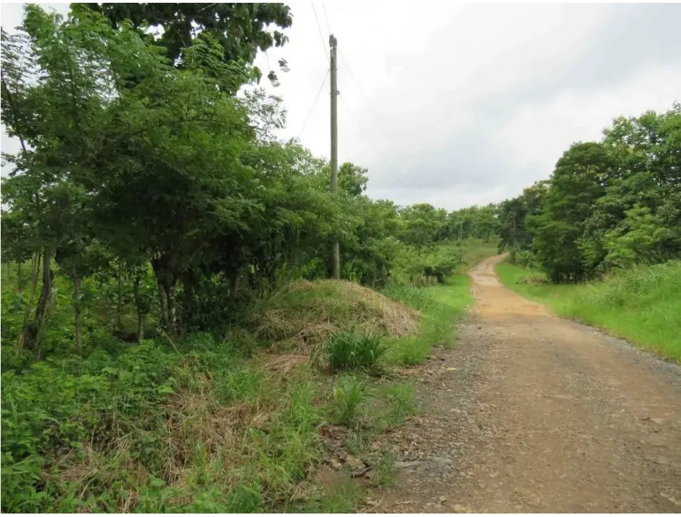 Land/Farm for sale in Chorrera