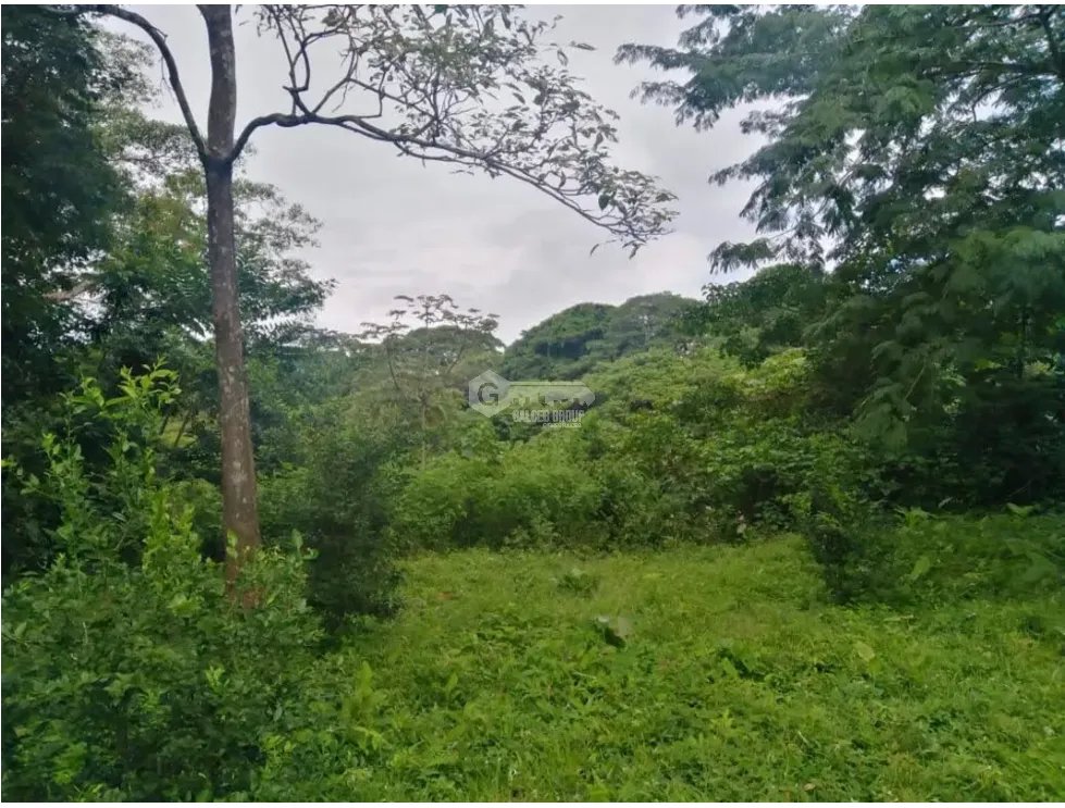 Land/Farm for sale in Chorrera