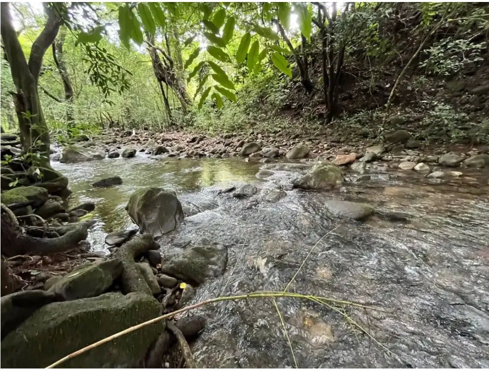 Land/Farm for sale in Chorrera