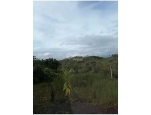 Land/Farm for sale in Chorrera