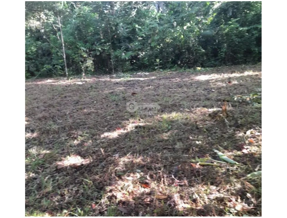 FINCA EN CHORRERA / CERRO CAMA / 7.2 HECTAREAS / PARA DESARROLLO