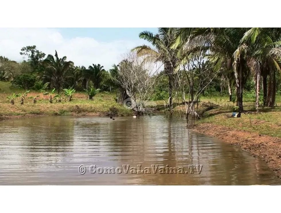 FINCA EN CHORRERA / CERRO CAMA / 7.2 HECTAREAS / PARA DESARROLLO
