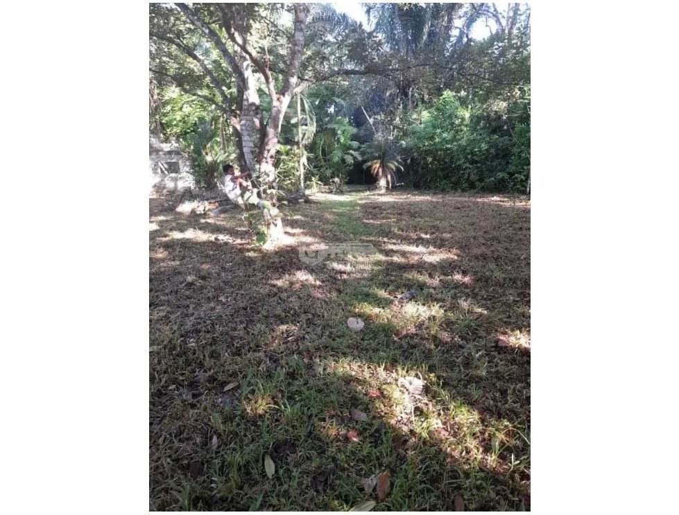 Land/Farm for sale in Chorrera