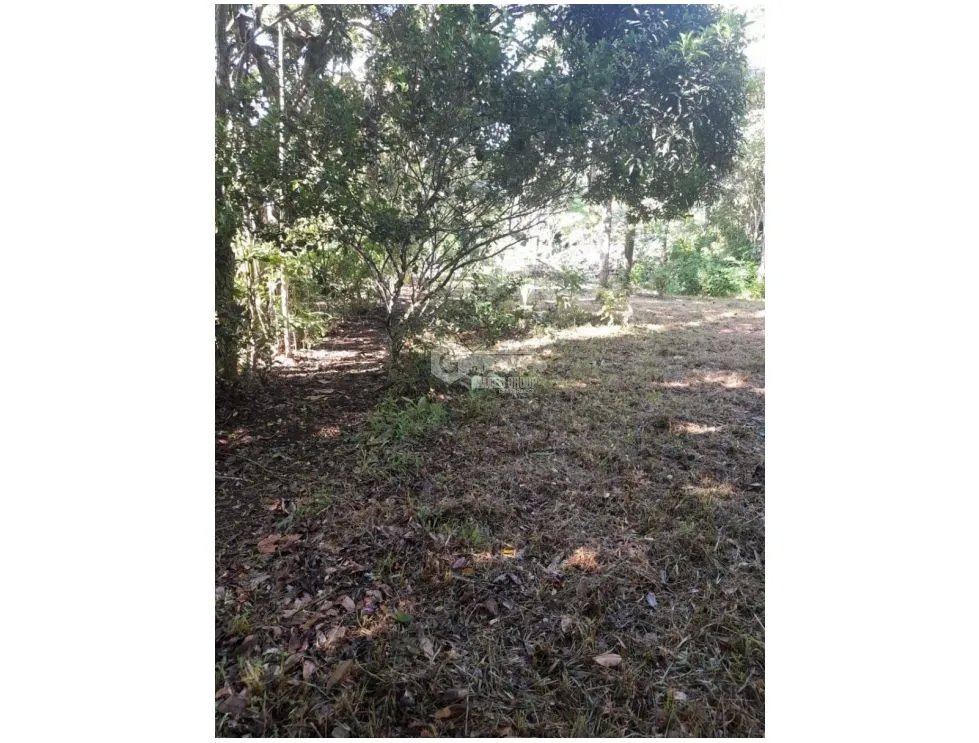 Land/Farm for sale in Chorrera