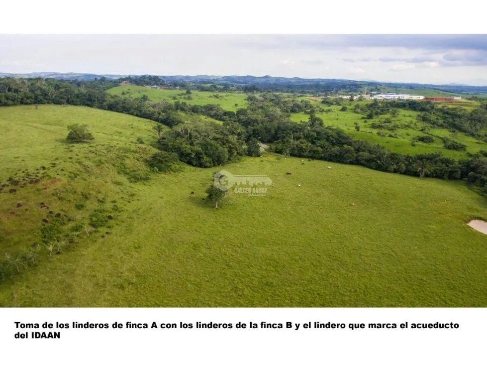 FINCA EN CHORRERA / LAS MENDOZAS / 13 HECTAREAS / PARA DESARROLLO