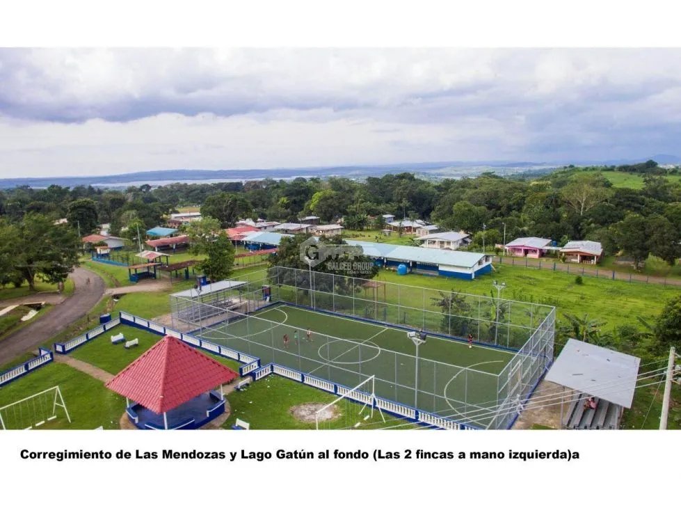 FINCA EN CHORRERA / LAS MENDOZAS / 13 HECTAREAS / PARA DESARROLLO