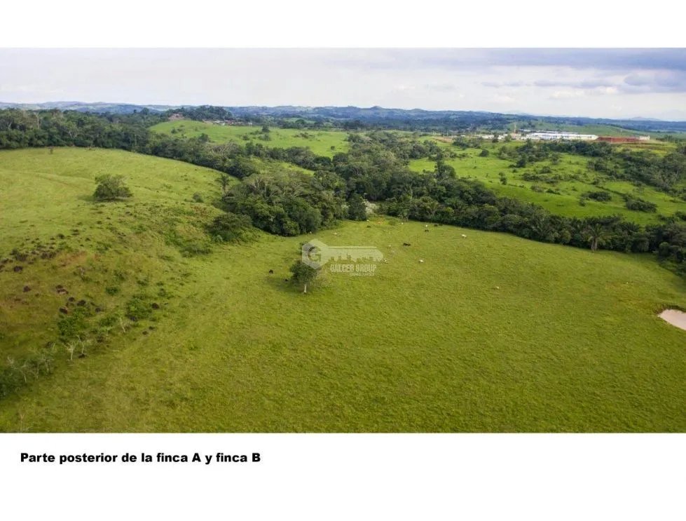 FINCA EN CHORRERA / LAS MENDOZAS / 13 HECTAREAS / PARA DESARROLLO