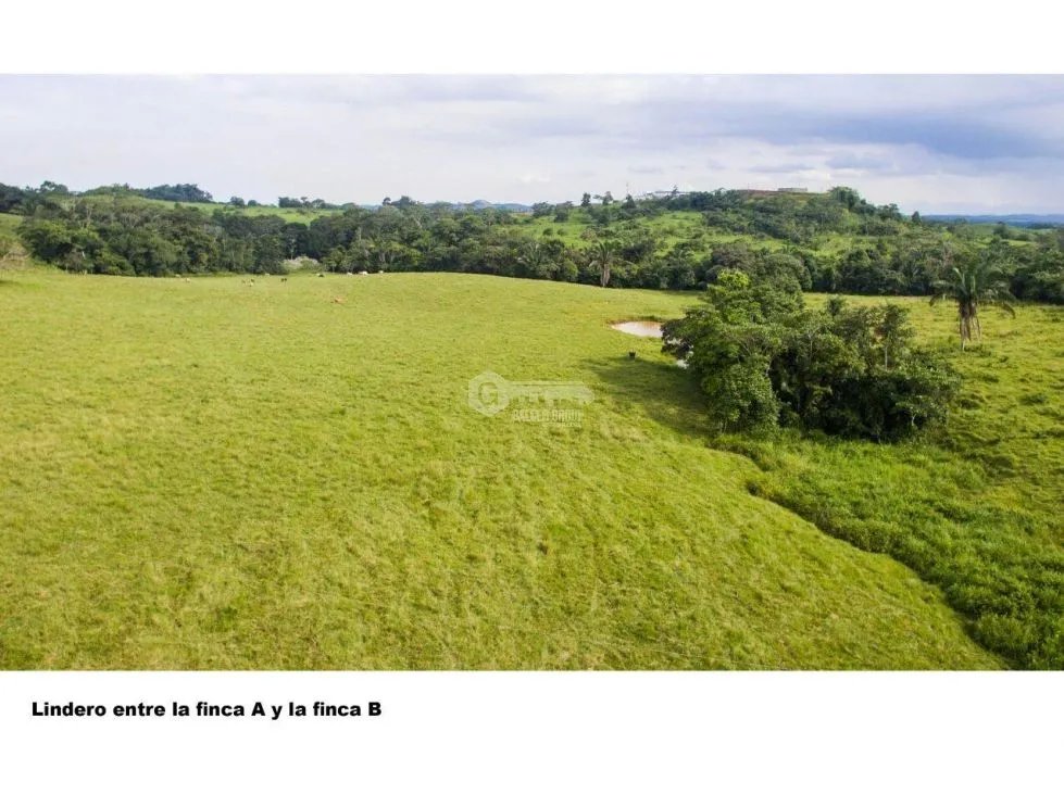 Land/Farm for sale in Chorrera