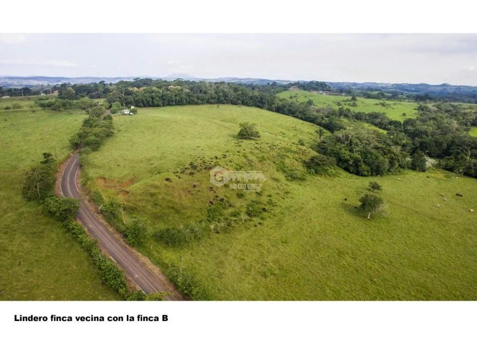 Land/Farm for sale in Chorrera