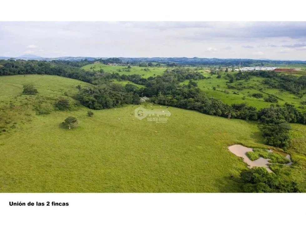 Land/Farm for sale in Chorrera