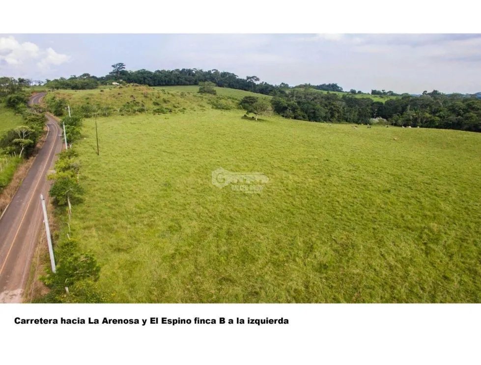 Land/Farm for sale in Chorrera
