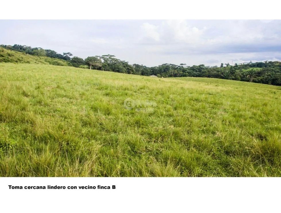 Land/Farm for sale in Chorrera