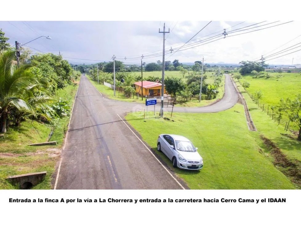 Land/Farm for sale in Chorrera