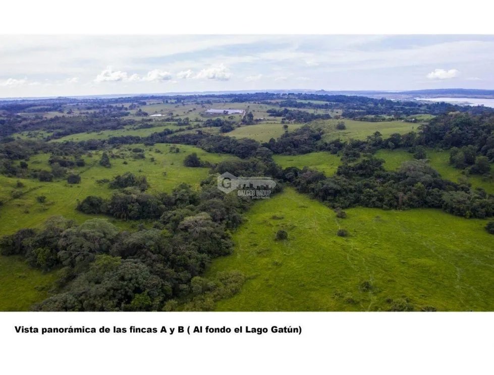 Land/Farm for sale in Chorrera