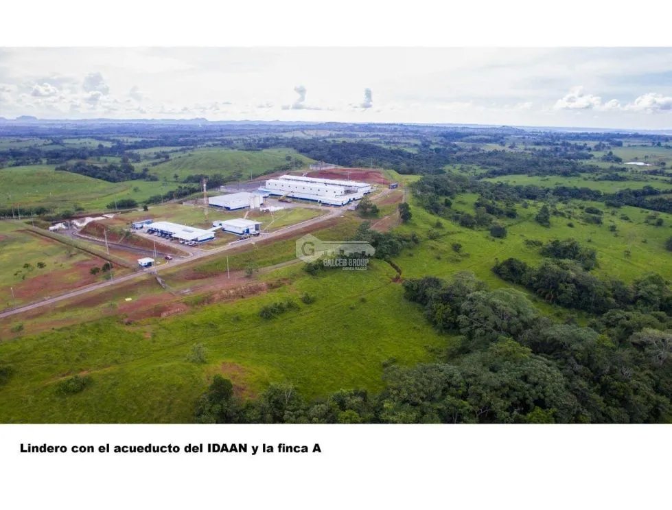Land/Farm for sale in Chorrera