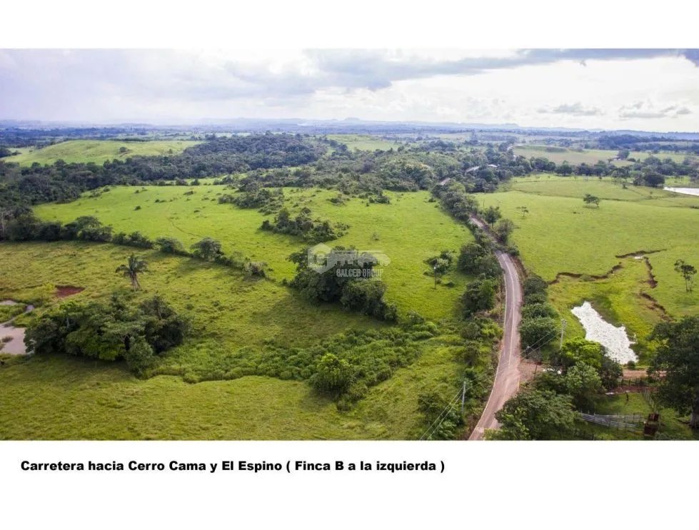 Land/Farm for sale in Chorrera
