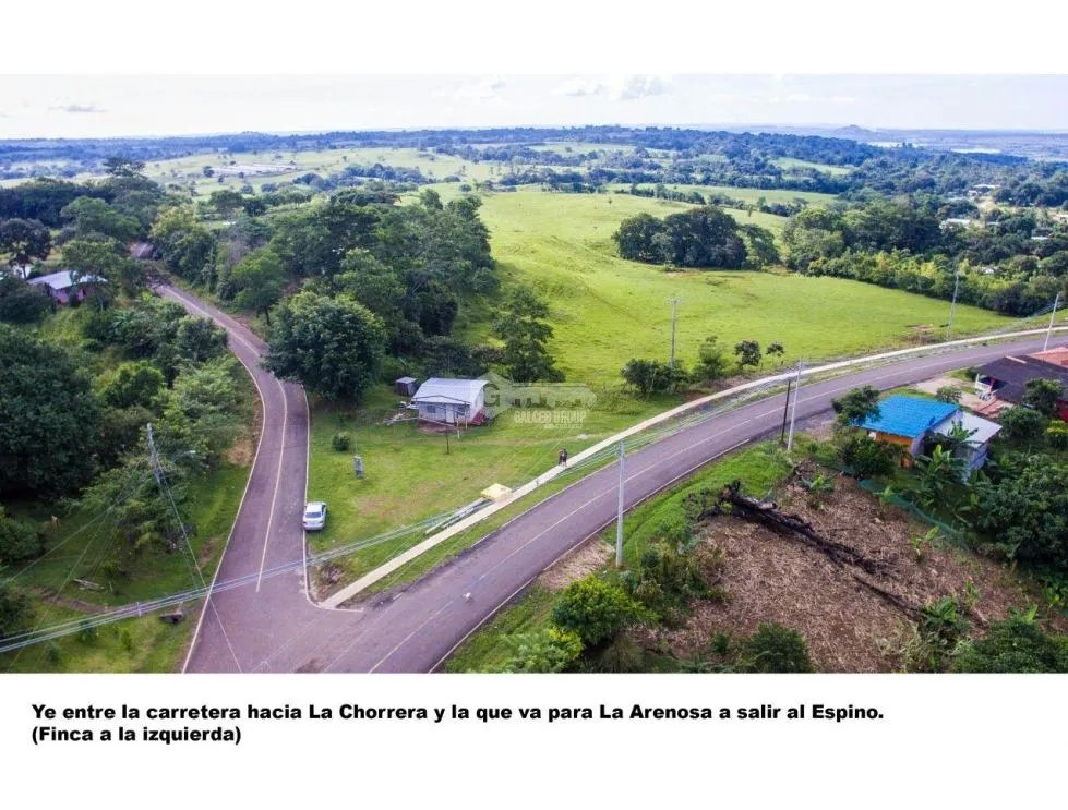 Land/Farm for sale in Chorrera