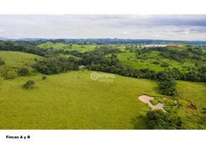 Land/Farm for sale in Chorrera