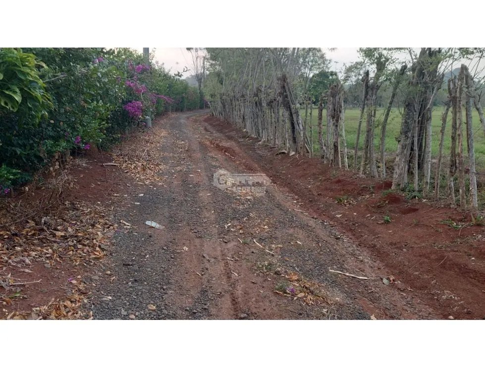 Land/Farm for sale in Chorrera