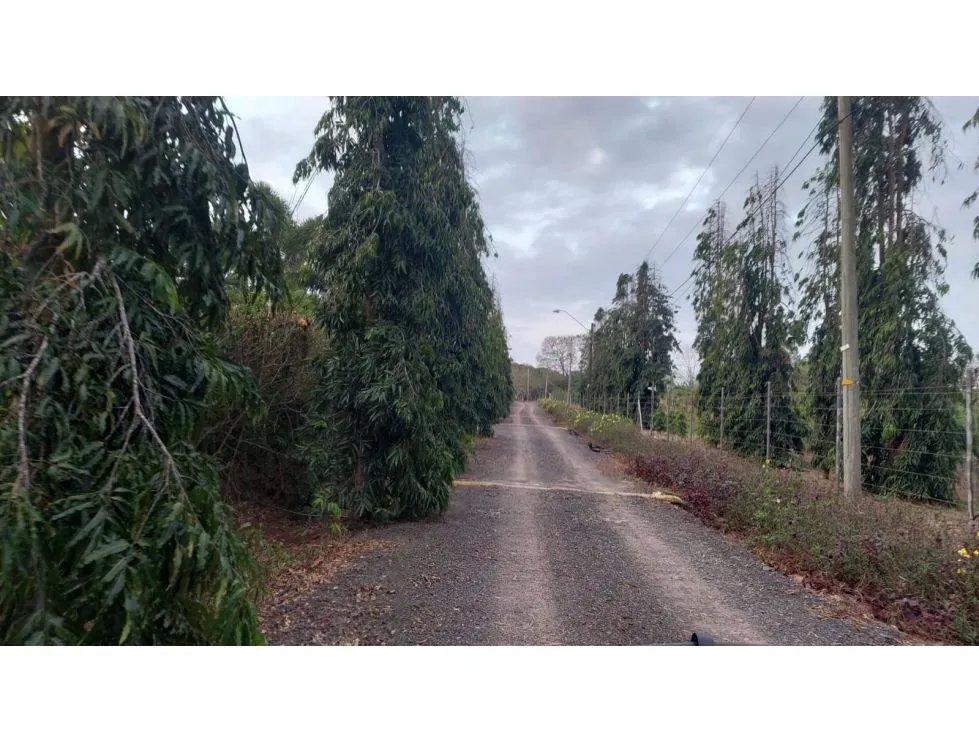 Land/Farm for sale in Chorrera