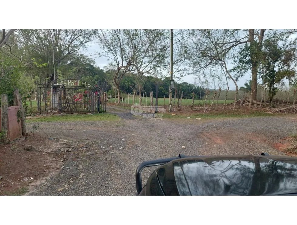 Land/Farm for sale in Chorrera
