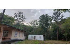 SE VENDE FINCA PARA DESARROLLO INMOBILIA...
