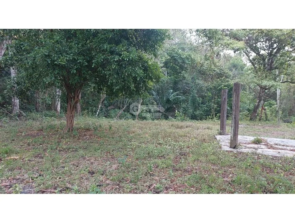Land/Farm for sale in Chorrera
