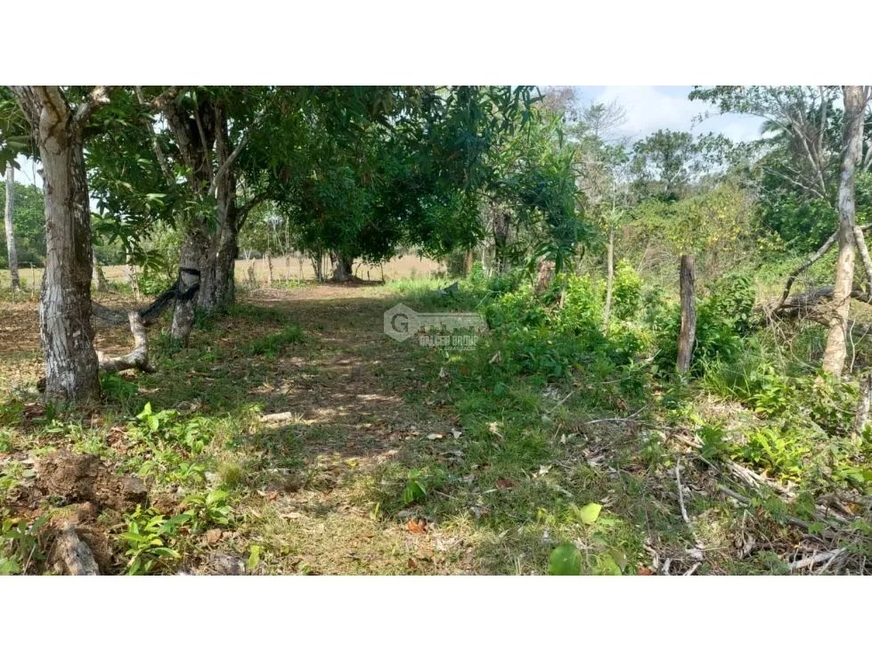 LA CHORRERA / FINCA PARA DESARROLLO INMOBILIARIO / 5 HECTAREAS