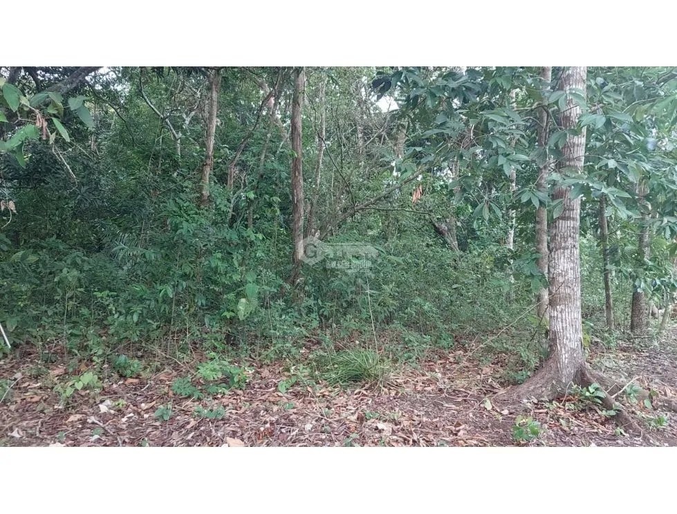 LA CHORRERA / FINCA PARA DESARROLLO INMOBILIARIO / 5 HECTAREAS