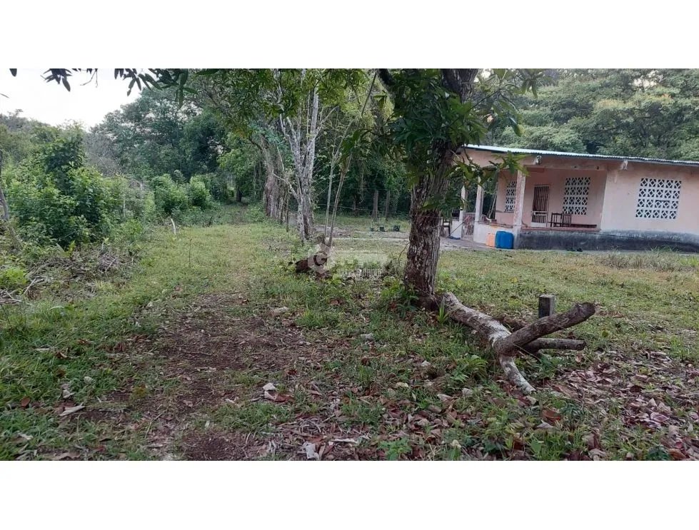 LA CHORRERA / FINCA PARA DESARROLLO INMOBILIARIO / 5 HECTAREAS