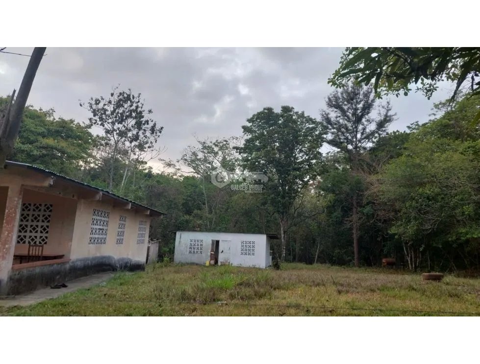 LA CHORRERA / FINCA PARA DESARROLLO INMOBILIARIO / 5 HECTAREAS