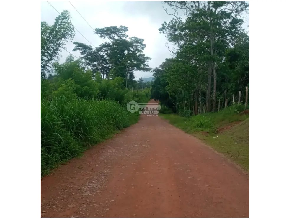 Single Family House for sale in Penonome