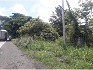 SE VENDE TERRENO EN CHAME 1118 M  A MINU...