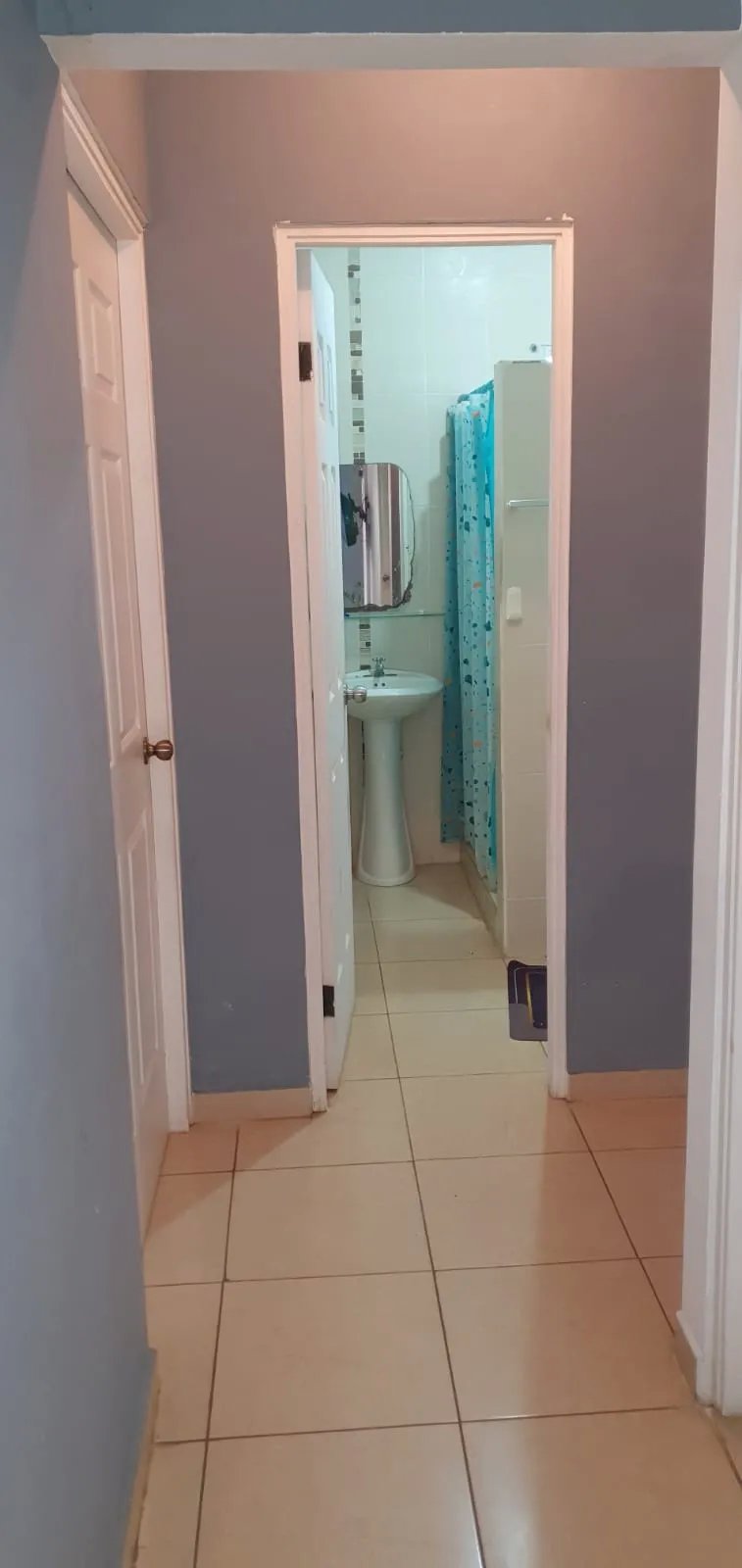 House for rent in Bagala Chiriqui