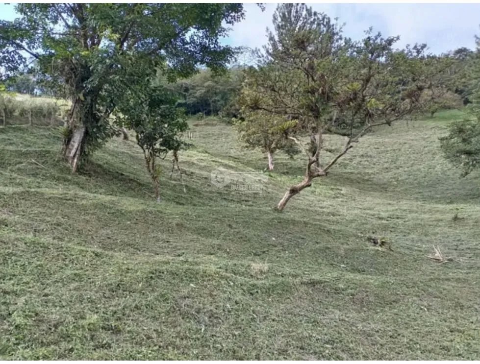 SE VENDE TERRENO EN  ALTOS DEL MARIA 2621 M2 CON VISTAS PANORAMICAS