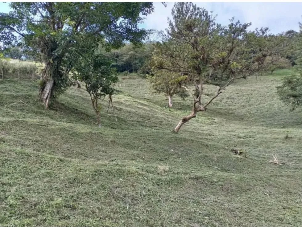 TERRENO / ALTOS DEL MARIA / SANTIAGO APOSTOL / 2621 M2 / AMPLIO