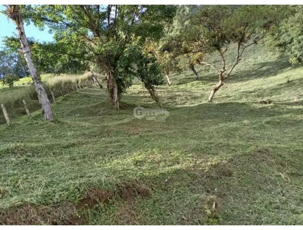 TERRENO / ALTOS DEL MARIA / SANTIAGO APOSTOL / 2621 M2 / AMPLIO