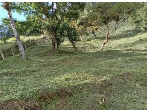 TERRENO / ALTOS DEL MARIA / SANTIAGO APO...