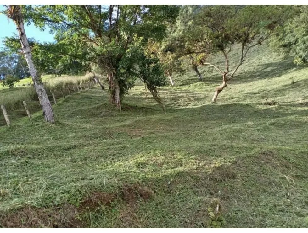 Building Lot for sale in Chame