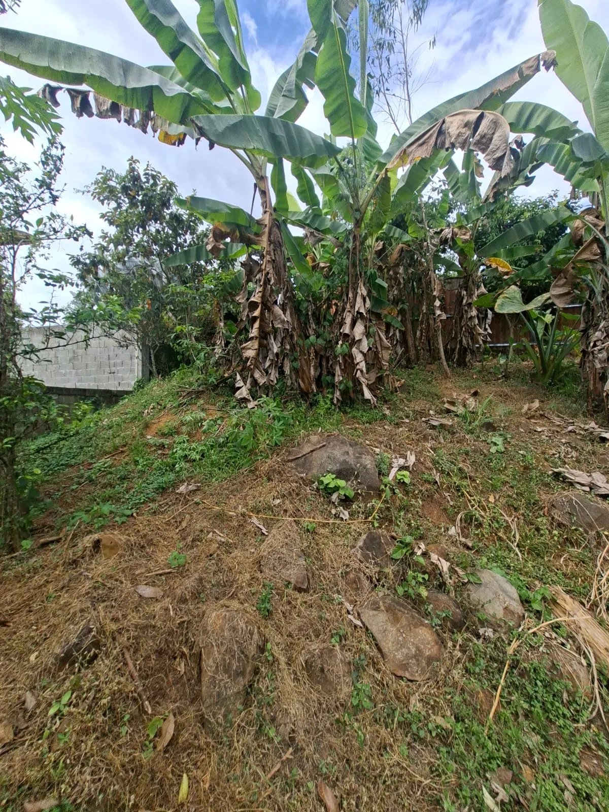 Venta de lote en Cerro Azul Ciudad de Panamá