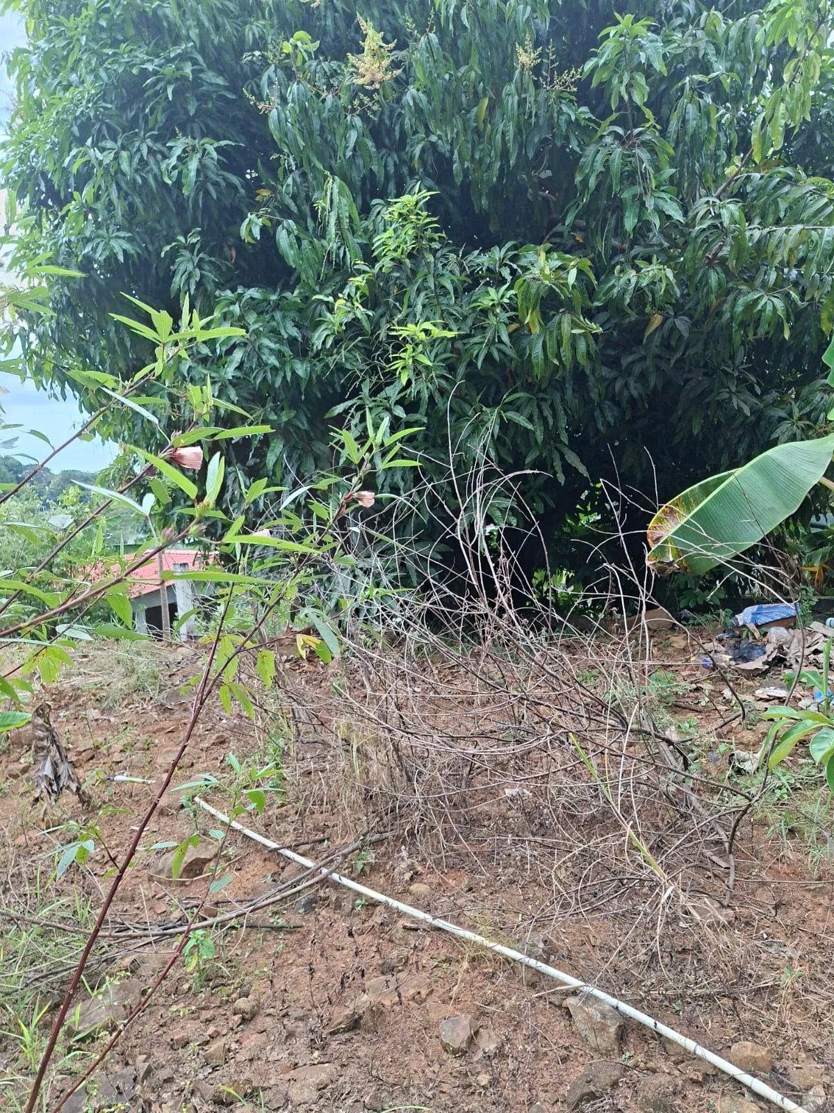 Venta de lote en Cerro Azul Ciudad de Panamá
