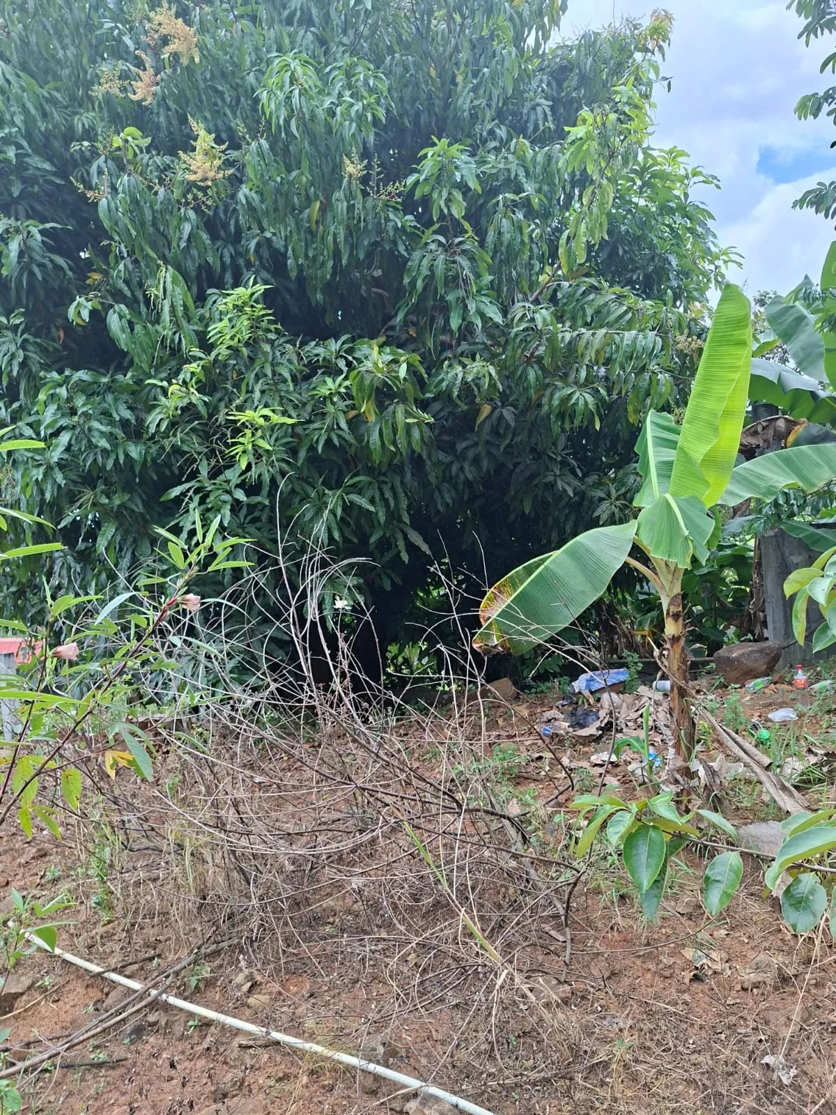 Venta de lote en Cerro Azul Ciudad de Panamá