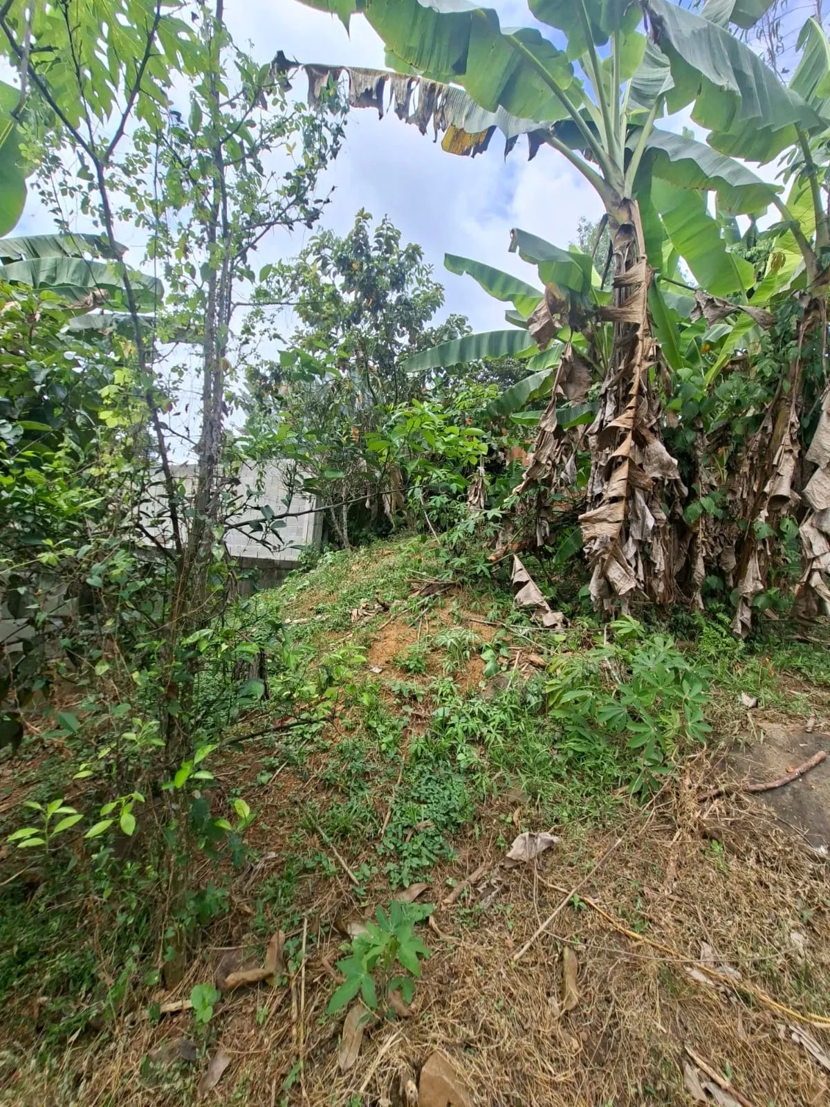 Venta de lote en Cerro Azul Ciudad de Panamá