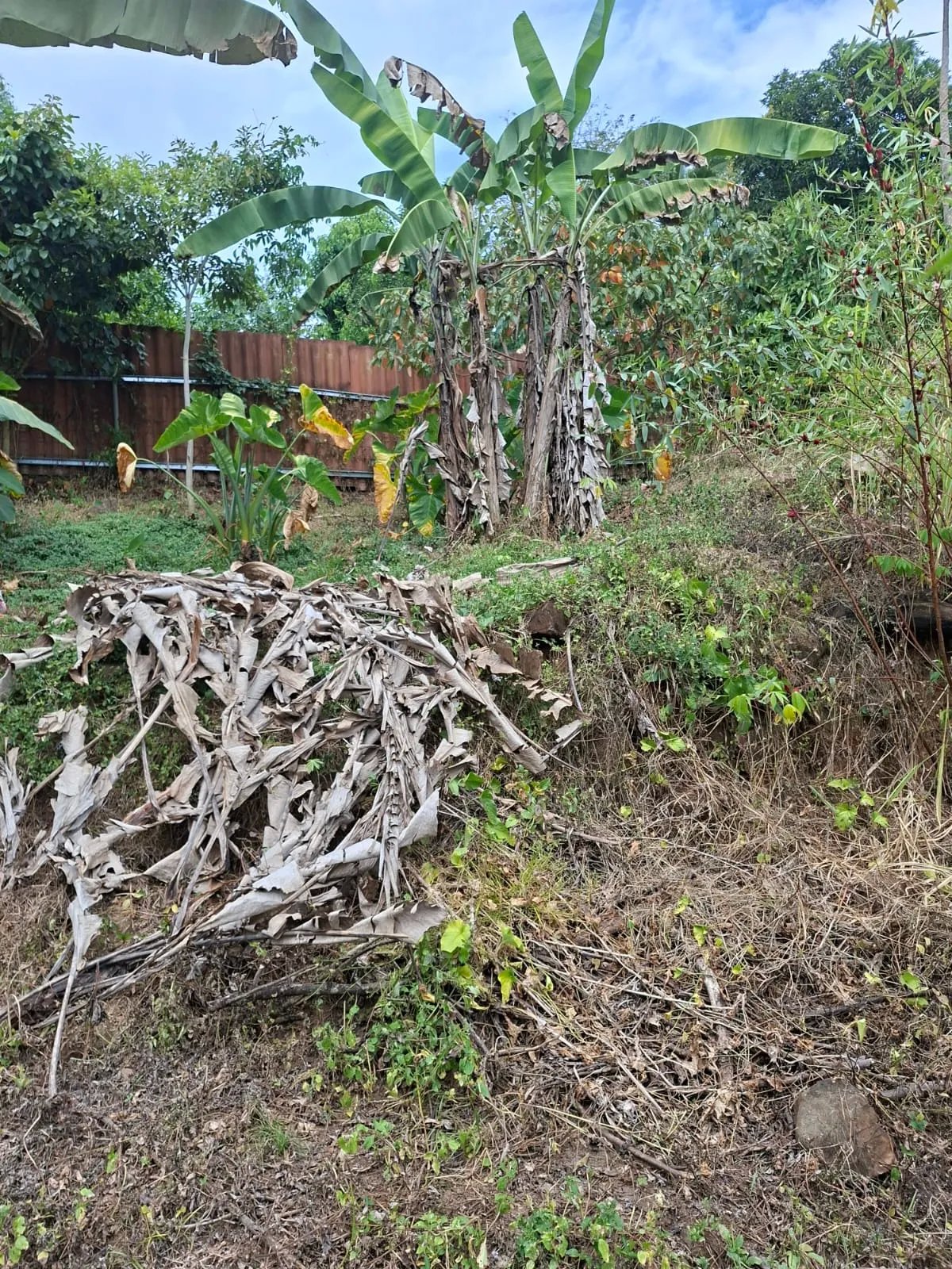 Venta de lote en Cerro Azul Ciudad de Panamá