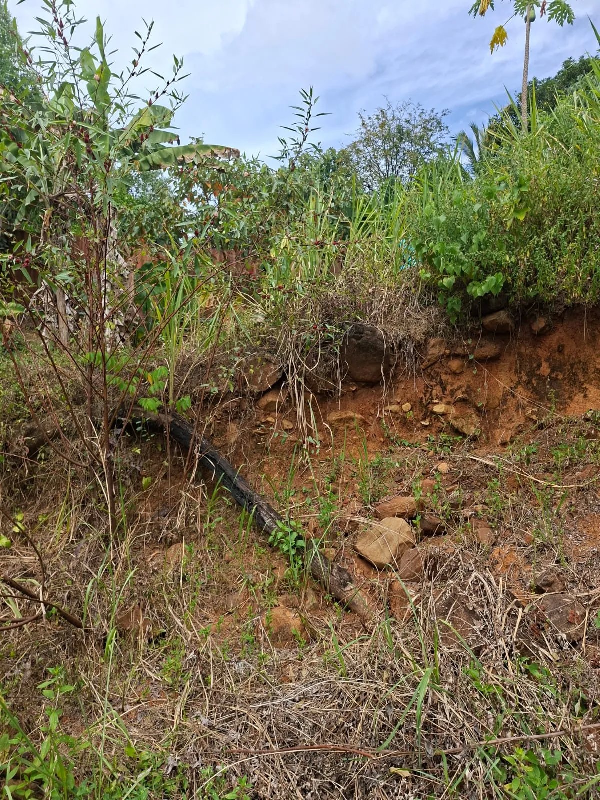 Venta de lote en Cerro Azul Ciudad de Panamá