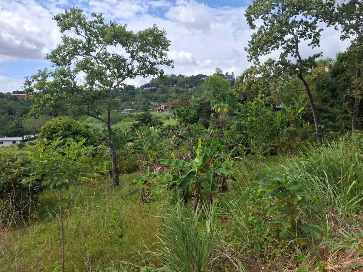 Venta de lote en Cerro Azul Ciudad de Panamá