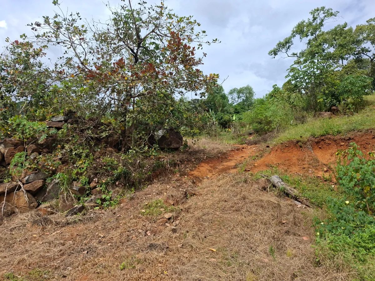 Venta de lote en Cerro Azul Ciudad de Panamá