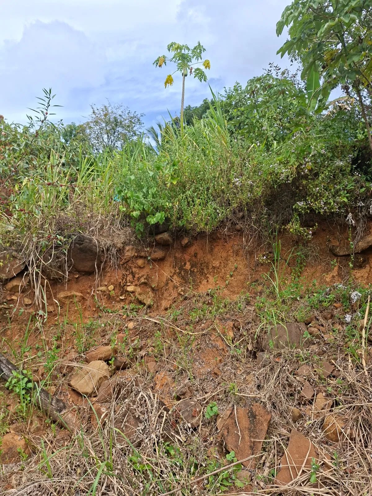 Venta de lote en Cerro Azul Ciudad de Panamá