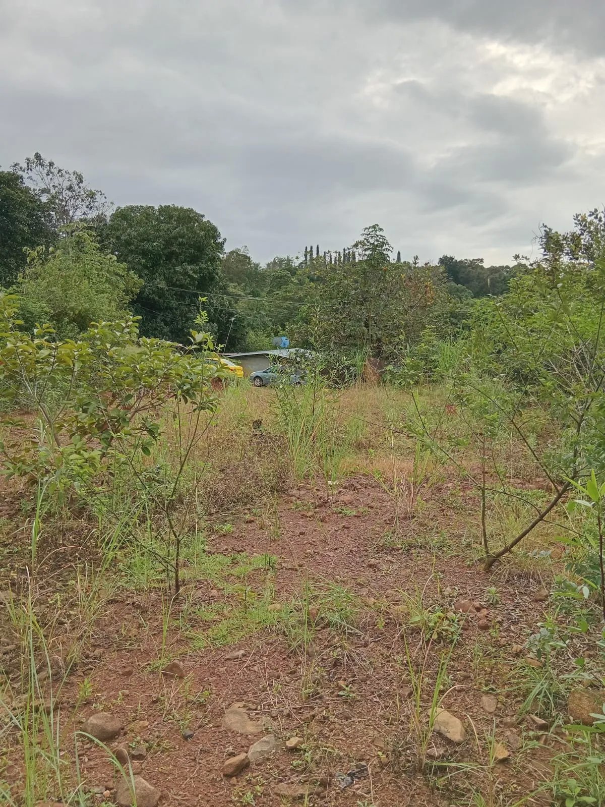 Venta de lote en Cerro Azul Ciudad de Panamá