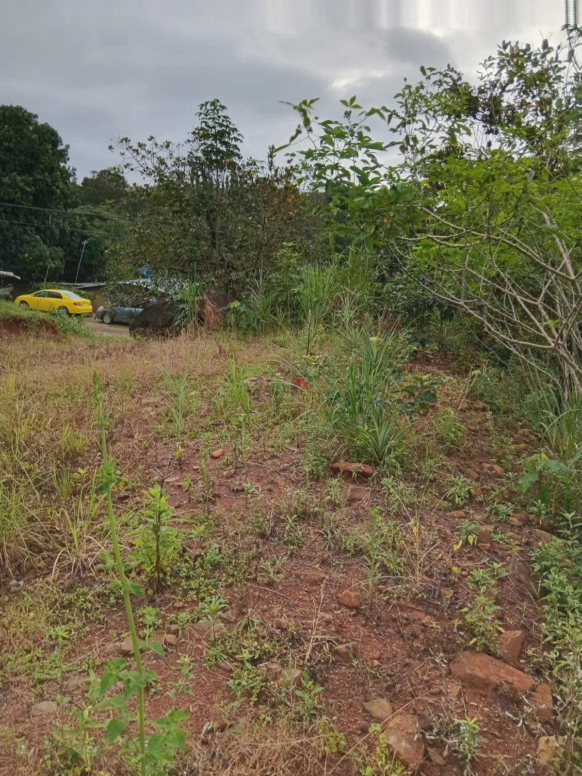 Venta de lote en Cerro Azul Ciudad de Panamá